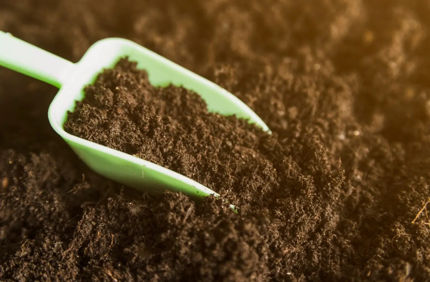 Grade B Topsoil - How it's Different from Grade A Topsoil